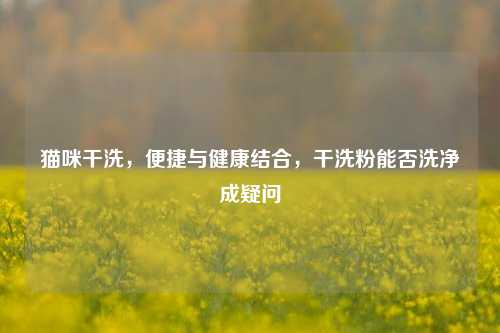 猫咪干洗，便捷与健康结合，干洗粉能否洗净成疑问