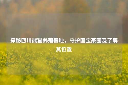 探秘四川熊猫养殖基地，守护国宝家园及了解其位置