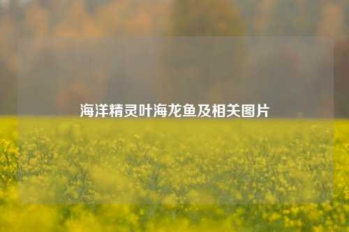 海洋精灵叶海龙鱼及相关图片