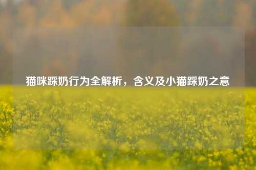 猫咪踩奶行为全解析，含义及小猫踩奶之意