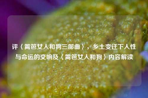 评〈篱笆女人和狗三部曲〉，乡土变迁下人性与命运的交响及〈篱笆女人和狗〉内容解读