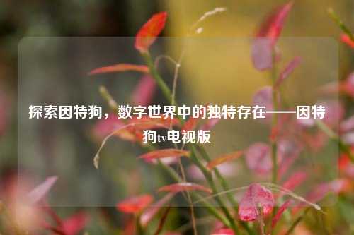 探索因特狗，数字世界中的独特存在——因特狗tv电视版