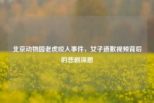 北京动物园老虎咬人事件，女子道歉视频背后的悲剧深思