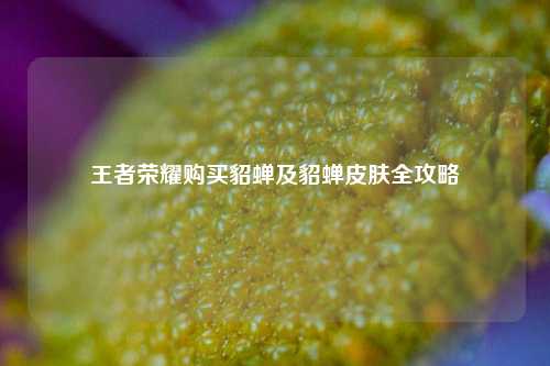 王者荣耀购买貂蝉及貂蝉皮肤全攻略