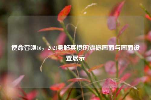 使命召唤16，2021身临其境的震撼画面与画面设置展示