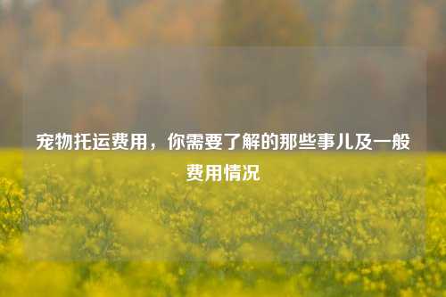 宠物托运费用，你需要了解的那些事儿及一般费用情况