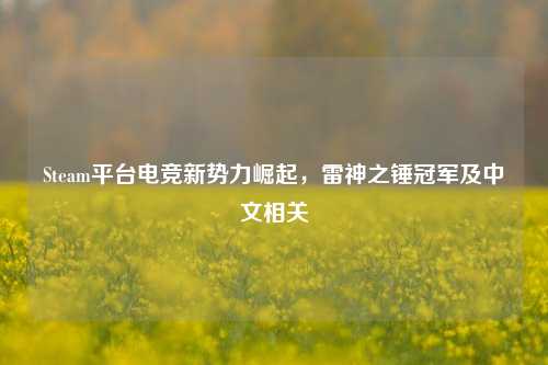 Steam平台电竞新势力崛起，雷神之锤冠军及中文相关