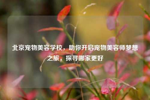 北京宠物美容学校，助你开启宠物美容师梦想之旅，探寻哪家更好