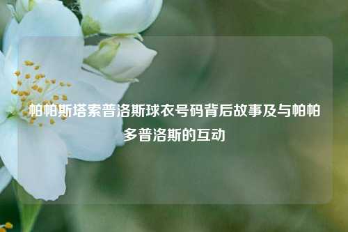 帕帕斯塔索普洛斯球衣号码背后故事及与帕帕多普洛斯的互动