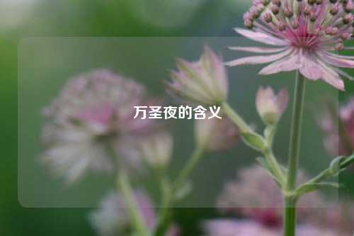 万圣夜的含义