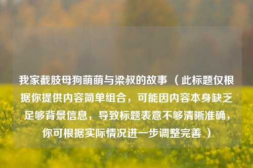 我家截肢母狗萌萌与梁叔的故事 （此标题仅根据你提供内容简单组合，可能因内容本身缺乏足够背景信息，导致标题表意不够清晰准确，你可根据实际情况进一步调整完善 ）