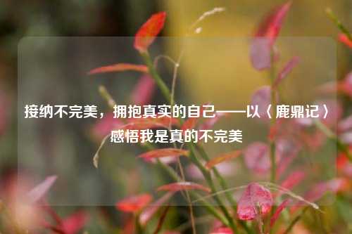 接纳不完美，拥抱真实的自己——以〈鹿鼎记〉感悟我是真的不完美