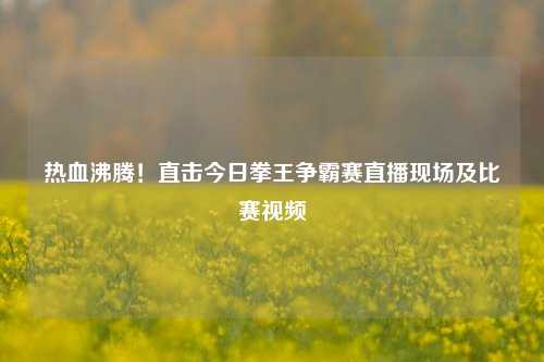 热血沸腾！直击今日拳王争霸赛直播现场及比赛视频