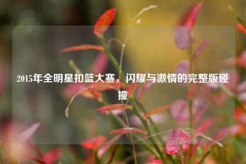 2015年全明星扣篮大赛，闪耀与激情的完整版碰撞