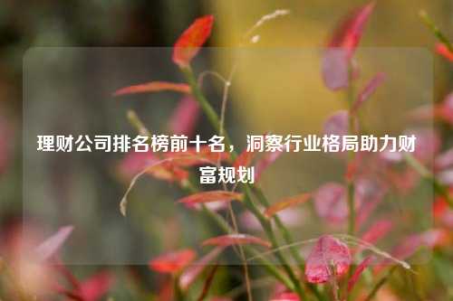 理财公司排名榜前十名，洞察行业格局助力财富规划