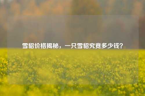 雪貂价格揭秘，一只雪貂究竟多少钱？