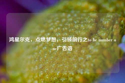 鸿星尔克，点燃梦想，引领前行之to be number one广告语