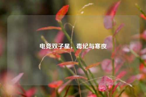 电竞双子星，毒纪与寒夜