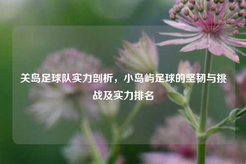 关岛足球队实力剖析，小岛屿足球的坚韧与挑战及实力排名