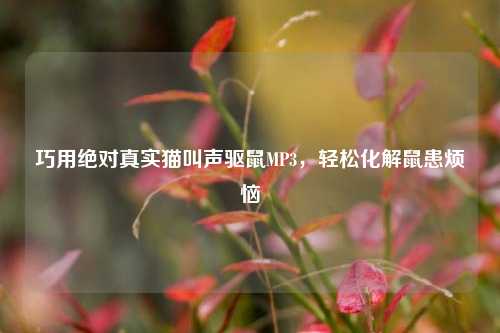 巧用绝对真实猫叫声驱鼠MP3，轻松化解鼠患烦恼