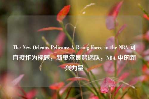 The New Orleans Pelicans: A Rising Force in the NBA 可直接作为标题，新奥尔良鹈鹕队，NBA 中的新兴力量
