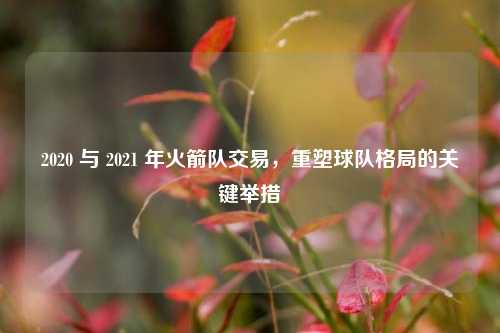 2020 与 2021 年火箭队交易，重塑球队格局的关键举措