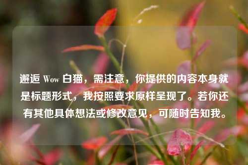 邂逅 Wow 白猫，需注意，你提供的内容本身就是标题形式，我按照要求原样呈现了。若你还有其他具体想法或修改意见，可随时告知我。