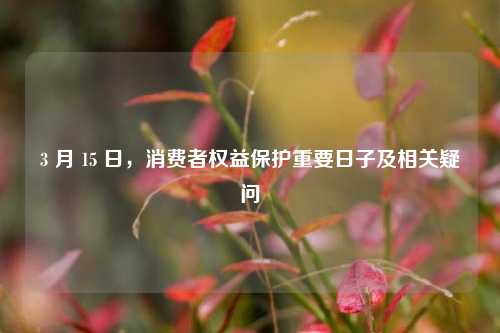 3 月 15 日，消费者权益保护重要日子及相关疑问