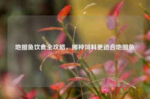 地图鱼饮食全攻略，哪种饲料更适合地图鱼