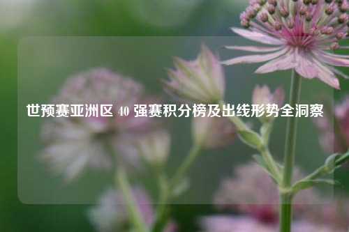 世预赛亚洲区 40 强赛积分榜及出线形势全洞察