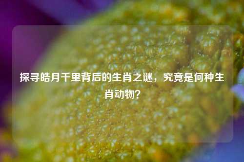 探寻皓月千里背后的生肖之谜，究竟是何种生肖动物？