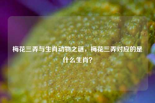 梅花三弄与生肖动物之谜，梅花三弄对应的是什么生肖？