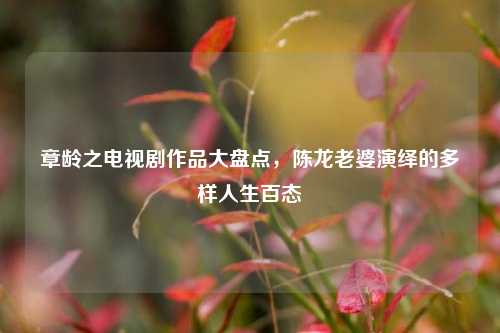 章龄之电视剧作品大盘点，陈龙老婆演绎的多样人生百态