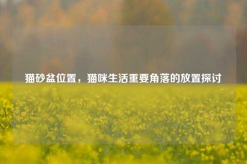猫砂盆位置，猫咪生活重要角落的放置探讨