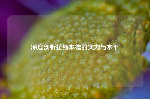 深度剖析拉斯本德的实力与水平