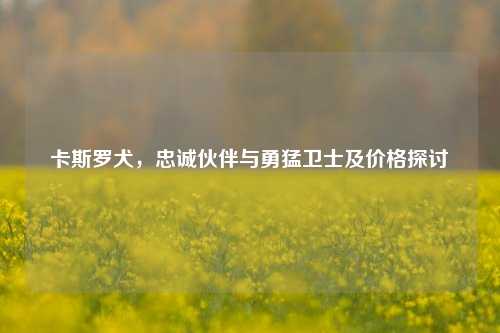 卡斯罗犬，忠诚伙伴与勇猛卫士及价格探讨