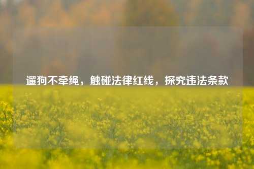 遛狗不牵绳，触碰法律红线，探究违法条款