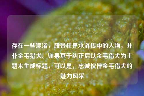 存在一些混淆，段景柱是水浒传中的人物，并非金毛猎犬。如果基于纠正后以金毛猎犬为主题来生成标题，可以是，忠诚伙伴金毛猎犬的魅力风采