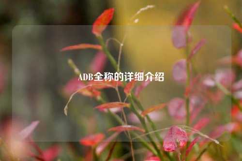 ADB全称的详细介绍