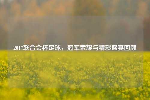 2017联合会杯足球，冠军荣耀与精彩盛宴回顾