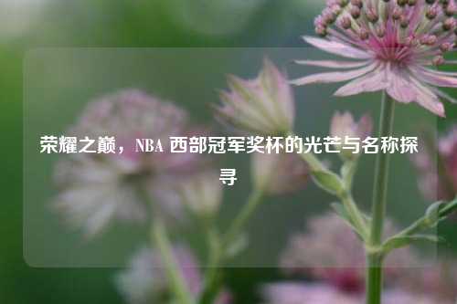 荣耀之巅，NBA 西部冠军奖杯的光芒与名称探寻