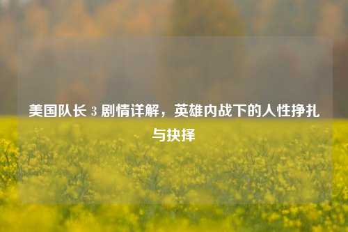 美国队长 3 剧情详解，英雄内战下的人性挣扎与抉择
