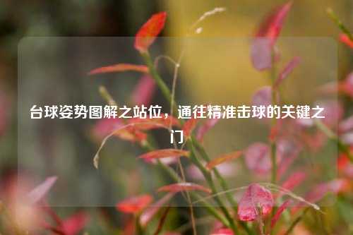 台球姿势图解之站位，通往精准击球的关键之门