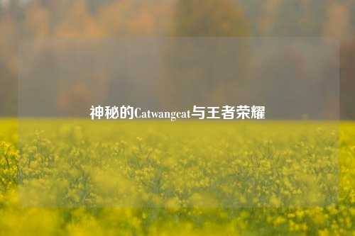 神秘的Catwangcat与王者荣耀