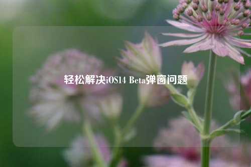 轻松解决iOS14 Beta弹窗问题