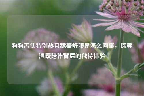 狗狗舌头特别热且舔着舒服是怎么回事，探寻温暖陪伴背后的独特体验