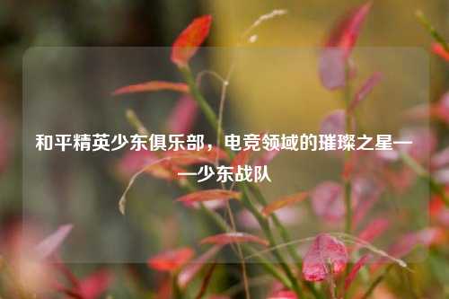 和平精英少东俱乐部，电竞领域的璀璨之星——少东战队