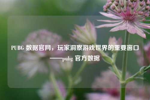 PUBG 数据官网，玩家洞察游戏世界的重要窗口——pubg 官方数据