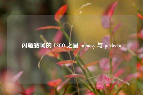 闪耀赛场的 CSGO 之星 m0nesy 与 perfecto