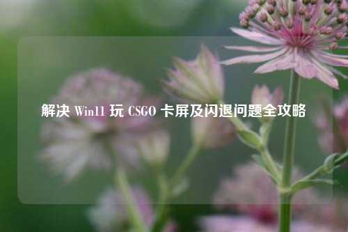 解决 Win11 玩 CSGO 卡屏及闪退问题全攻略